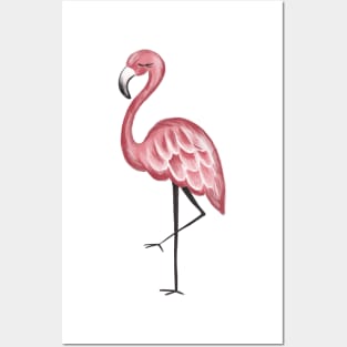 Flamingo Posters and Art